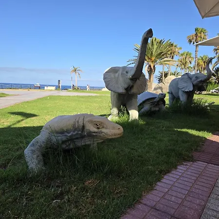 La Perla Del Duque Tenerife Costa Adeje (Tenerife)